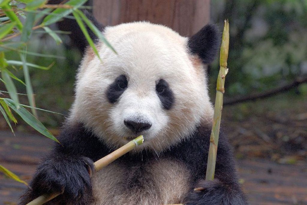 Samen met de kinderen