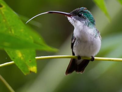 Vertrek 21 november 2020 - Day 9