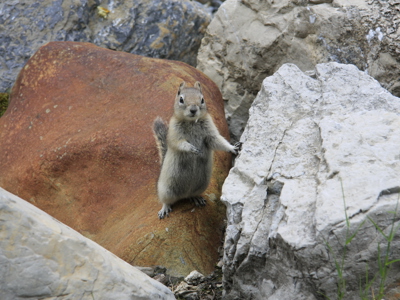 Route Canada, 22 dagen - Day 3