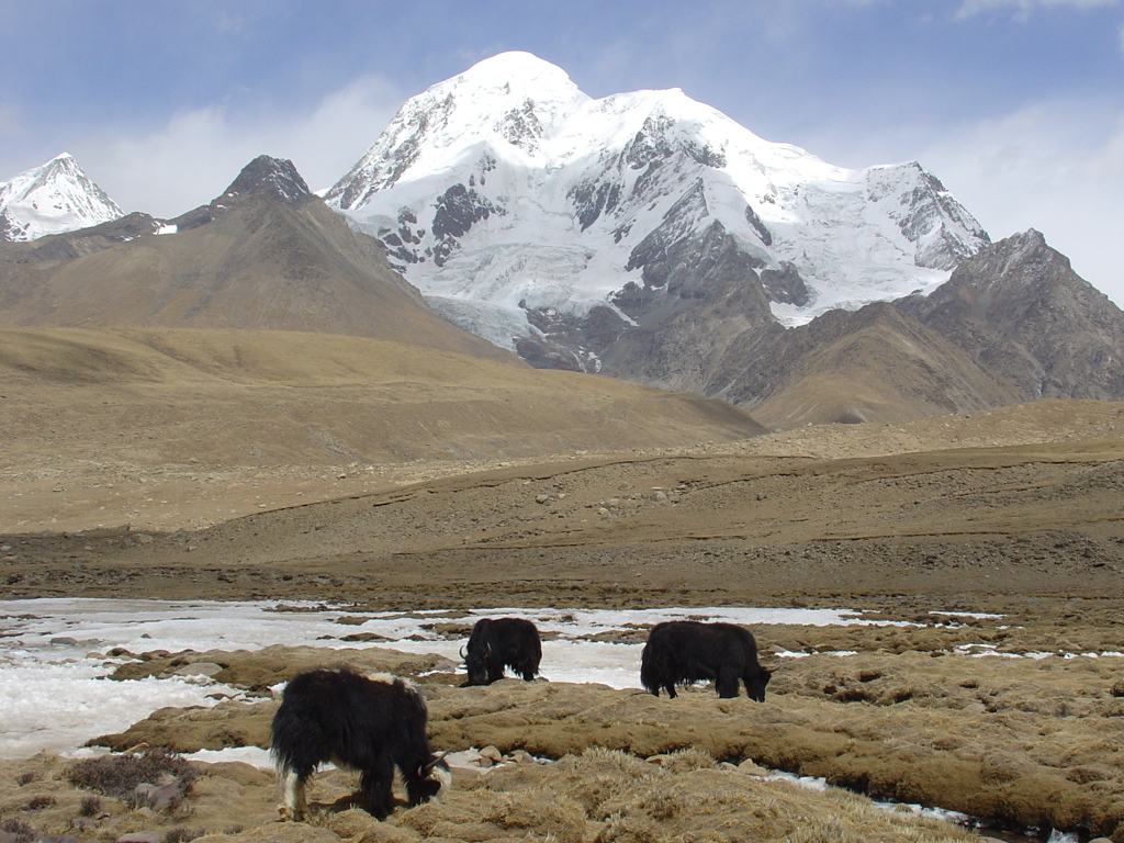 Groepsrondreis Tibet en Nepal