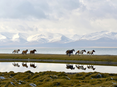 Route Kirgistan - Day 8