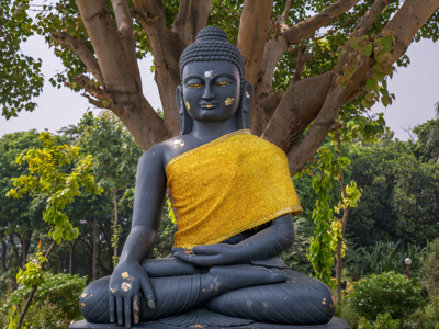 Route India en Nepal, 20 dagen (oud) - Day 9