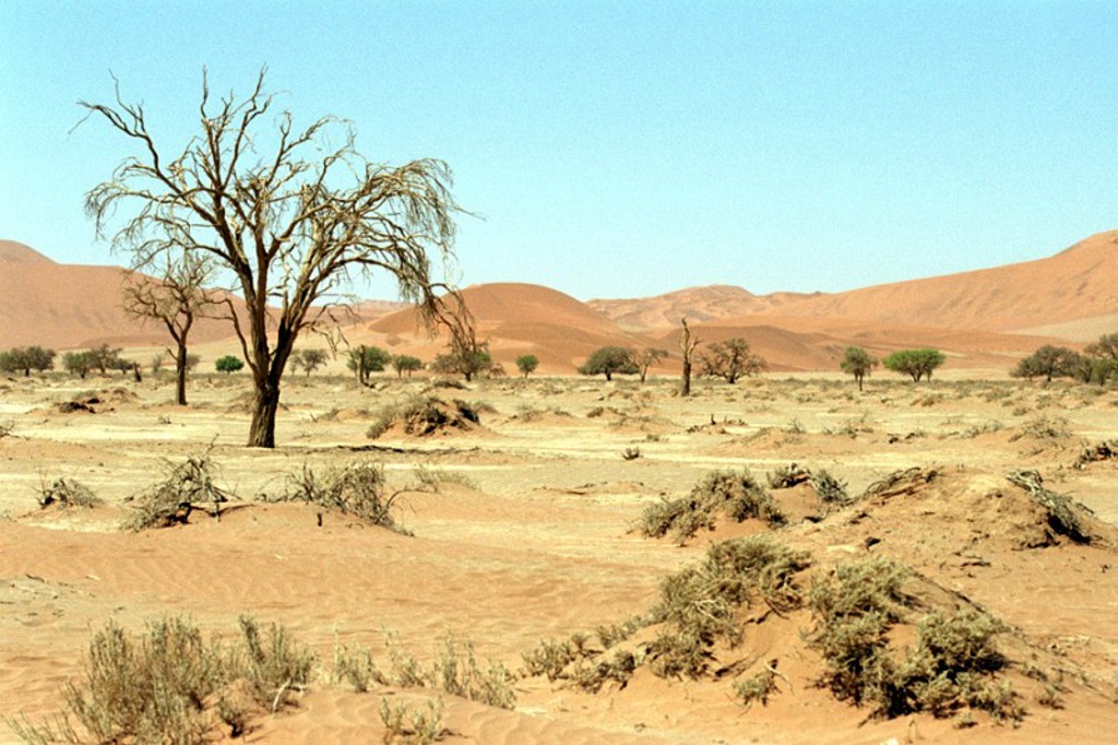 25_Sossusvlei.jpg