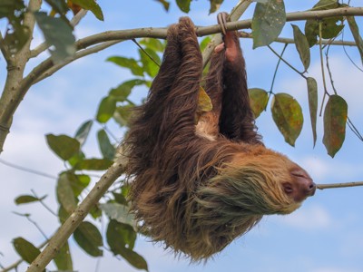 Route Costa Rica - Day 19