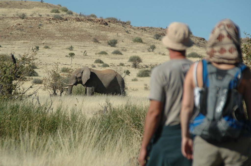 main_Namibi__-_Palmwag__15_.jfif