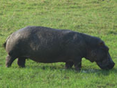 Route Vic Falls - Windhoek - Day 4