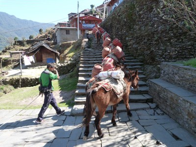 Route Nepal Annapurna, 23 dagen - Dag 13