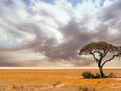 Route Namibië, 20 dagen - Dag 13