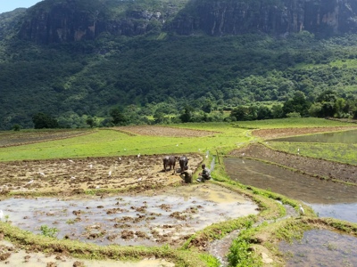 Route Sri Lanka reis, 24 dagen OUD - Dag 12