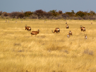 Route Vic Falls - Kaapstad, 27 dagen - Dag 10