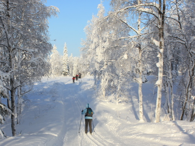 Route Lapland, 8 dagen 2023 (OUD) - Day 2