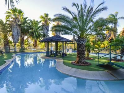 Desert Palms Alice Springs