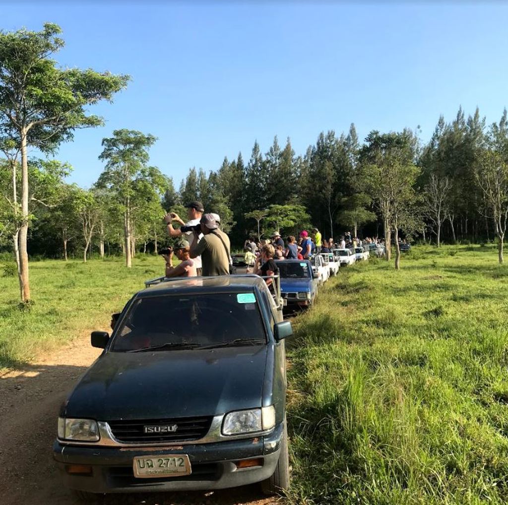 Rondreis Thailand Kui Buri wildspotten