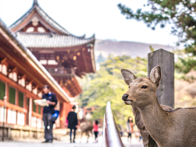 Route Japan, 21 dagen (reizen t/m 1 mei 2024) - Day 20