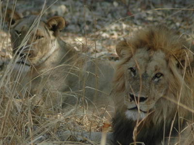 Route Zambia, Malawi en Tanzania, 24 dagen - Dag 4