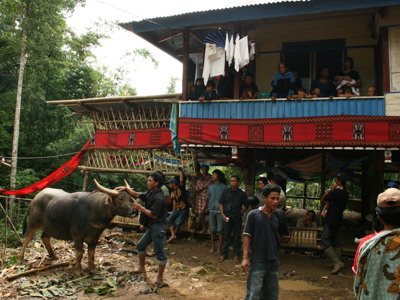 Route - Bali & Sulawesi, 23 dagen - Day 15