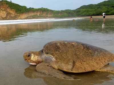 Route Nicaragua en Costa Rica, 21 dagen - Day 17