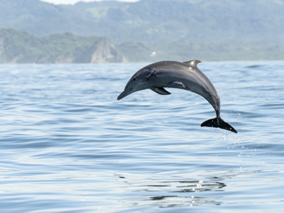 Route Costa Rica Hoogtepunten - Day 12