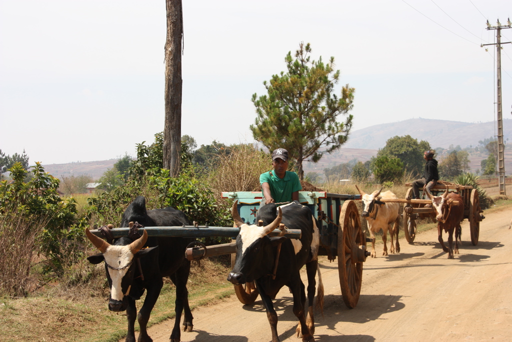 Joran de Ridder 2022 (83).JPG