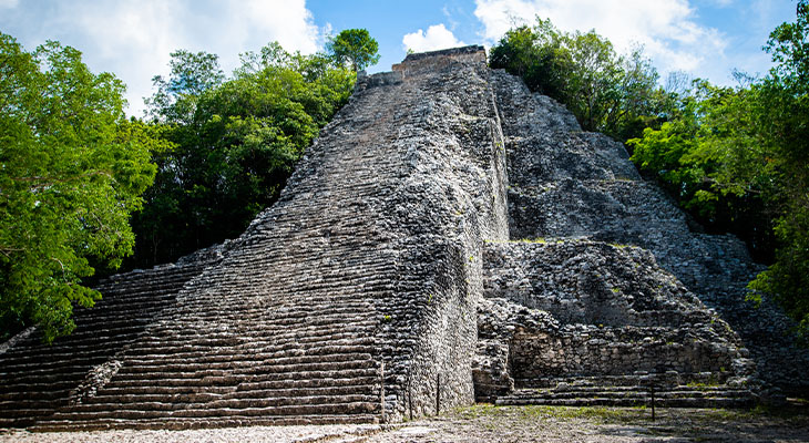 Cobá Cobá