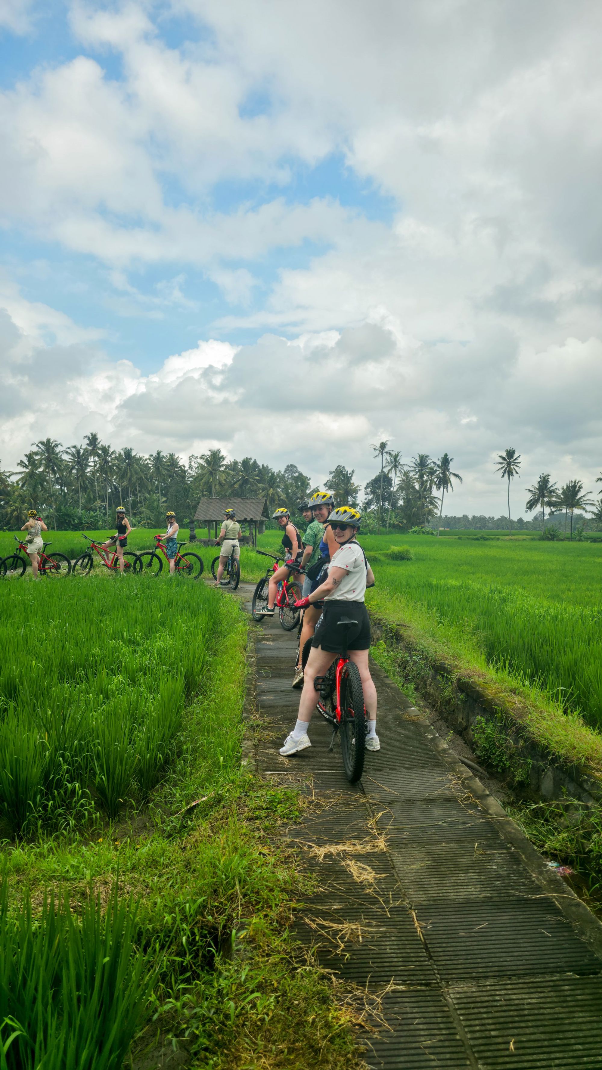 22-35ers reis Indonesië: Bali en Lombok