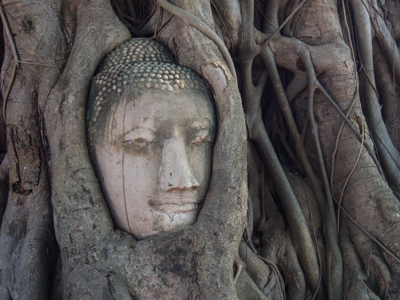 Route Thailand mei - september / Ko Samui - Dag 6