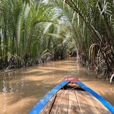 Rijstveld in Vietnam