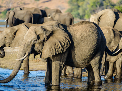 Route Kaapstad - Vic Falls - Day 23