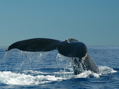 Route Canada, 22 dagen - Day 16