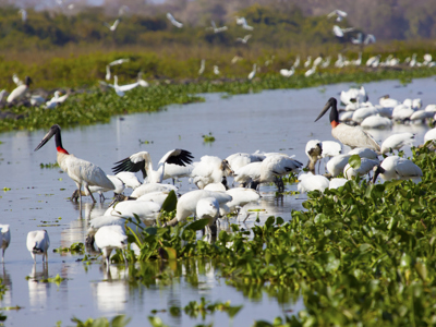 Route van Buenos Aires naar Rio - Day 9