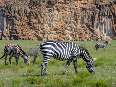 Kenia en Tanzania, 13-dagen - Dag 3