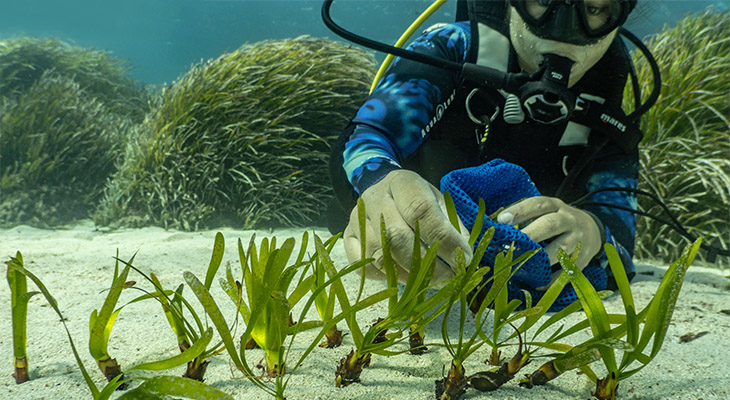 Formentera Formentera