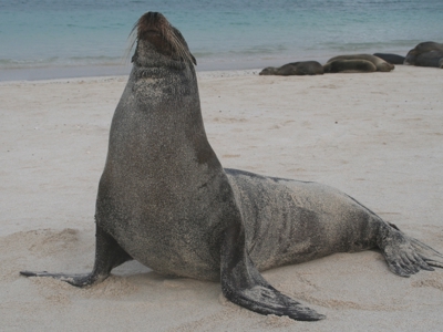 Route Ecuador en Galapagos, 22 dagen - Day 17