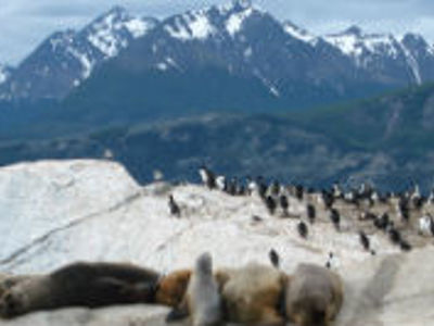 Festivalreis, 34 dagen - Dag 9