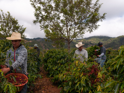 Familiereis Guatemala en Belize, 18 dagen - Day 8