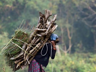 Route India en Nepal, 20 dagen - Day 11