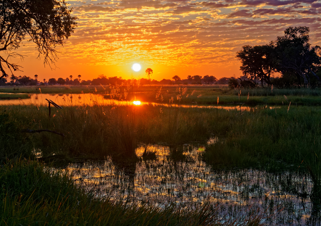 Rondreis Botswana Okavango Delta