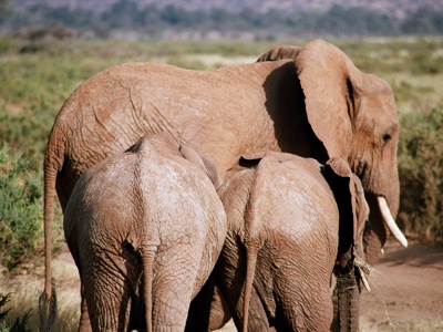 Route 2018 Kenia, Tanzania en Zanzibar, 18 dagen - Dag 6