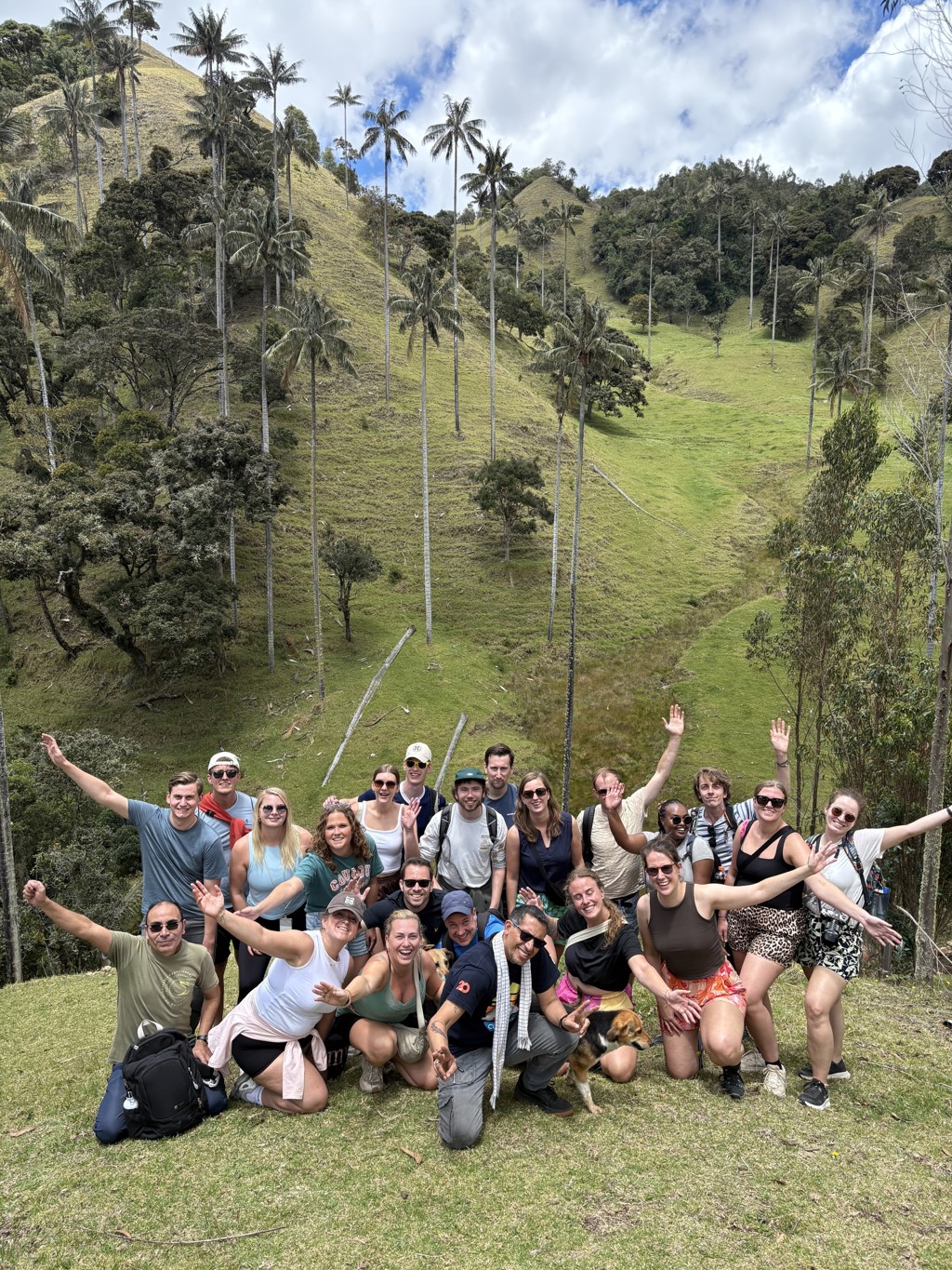 Groep 22-35ers tijdens rondreis Colombia in de Cocora-vallei met hoge palmbomen op de achtergrond.