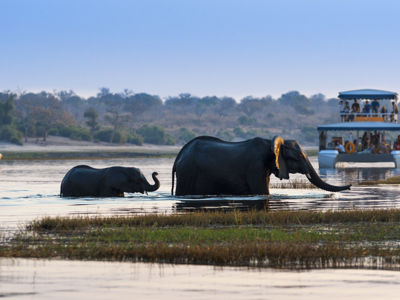 Route Vic Falls-Kaapstad - Day 4