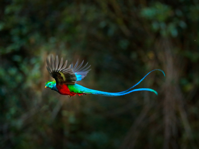 Route Guatemala en Honduras, 19 dagen - Day 2