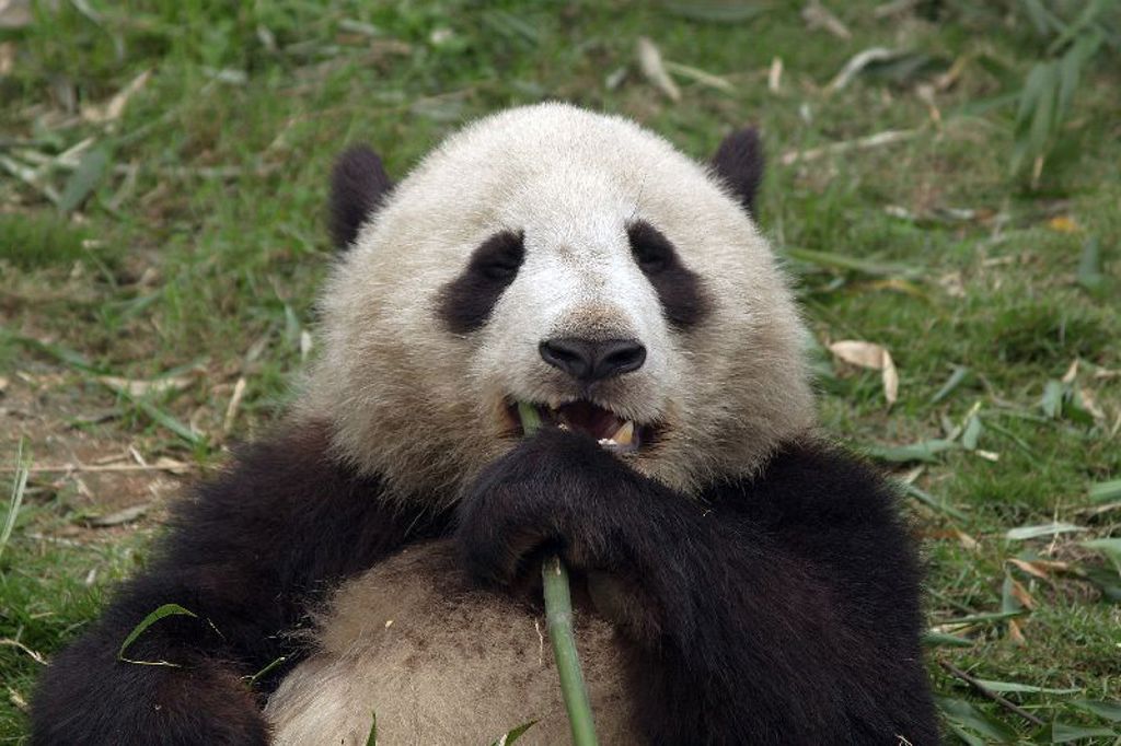 Samen met de kinderen