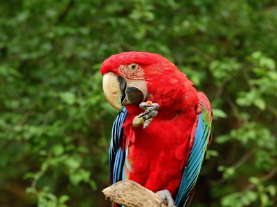 Route, rondreis Guatemala, 17 dagen - Day 7