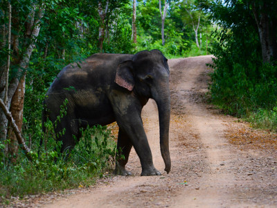 Thailand Avontuur, 24 dagen - Dag 20