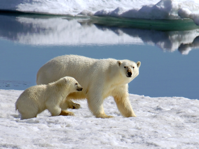 Spitsbergen 11 dagen - Dag 3