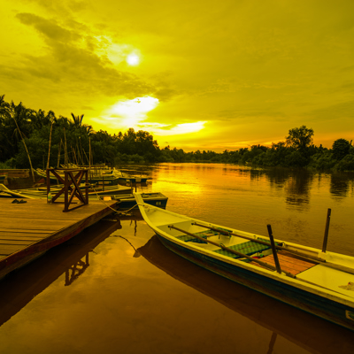 Excursie vuurvliegjes, incl. diner