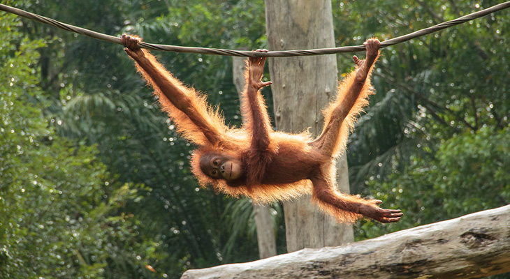 Bezoek verantwoorde opvangcentra Bezoek verantwoorde opvangcentra