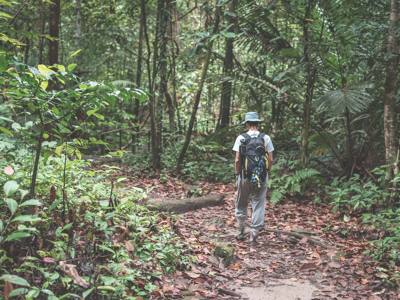 Route Maleisisch Borneo, 23 dagen - Dag 10