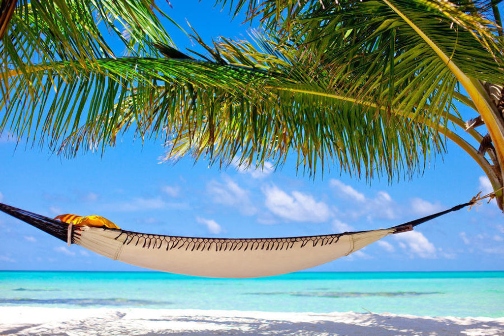 main_main_shutterstock_68758027 (1).jpg