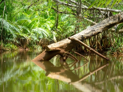 Route Ecuador, 22 dagen inclusief Yarina - Day 5